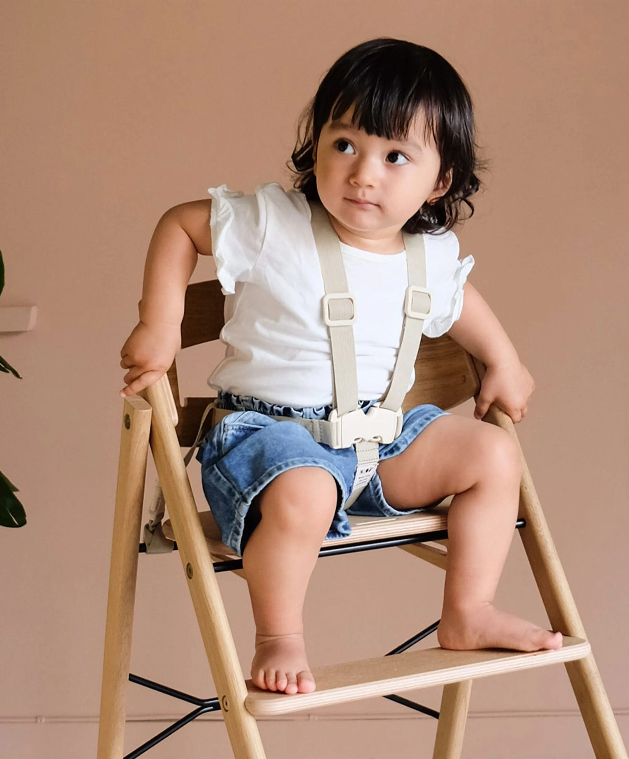 KAOS Klapp Highchair Harness